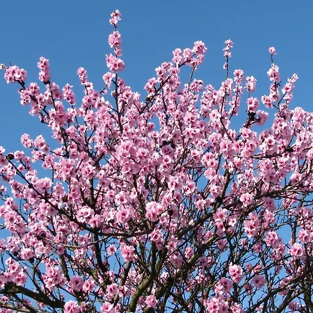 Wellness-ferienhof Am Rebgarten