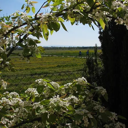 Wellness-ferienhof Am Rebgarten *