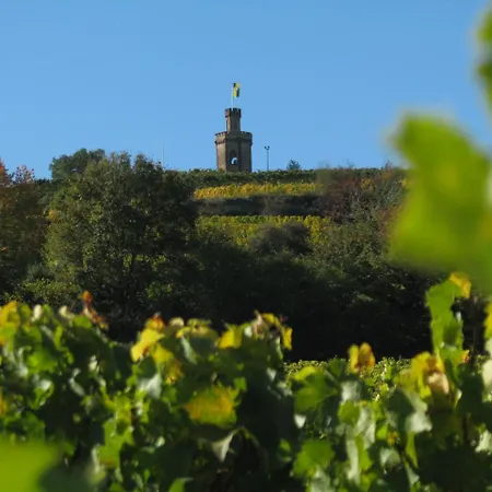 Wellness-ferienhof Am Rebgarten *